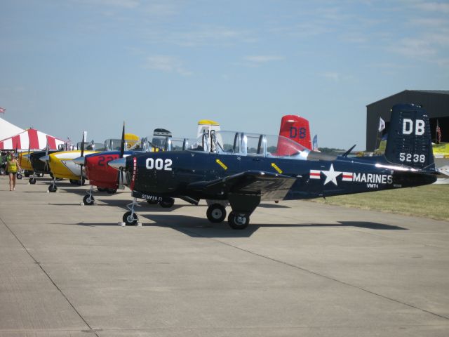 Beechcraft 35 Bonanza (N5238DB) - A whole row of T-34s @ Mount Comfort, IN 2012 Gathering!