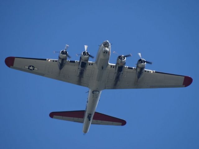 Boeing B-17 Flying Fortress (N3701G)