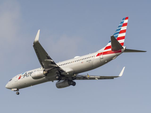 Boeing 737-800 (N813NN) - 6/27/2020 Very near bird strike, Notice the bird tumbling behind the R Wing. after it got caught in the planes wake.