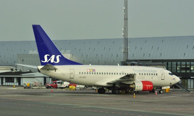 BOEING 737-600 (LN-RRX) - SAS Scandinavian Airlines Boeing 737-683 LN-RRX in Copenhagen 