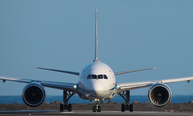 Boeing 787-8 (JA834A)