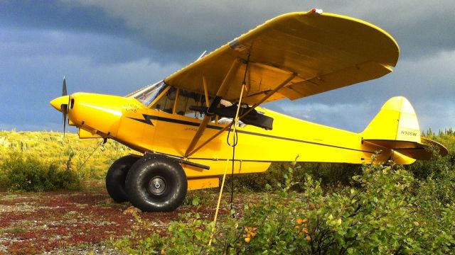 Piper NE Cub (N985W)