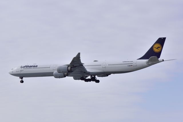 Airbus A340-600 (D-AIHH) - Lufthansa A340-600 on final approach to DTW 22l.