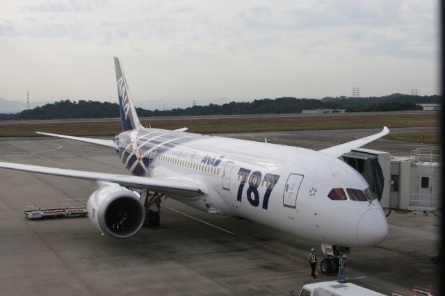 Boeing 787-8 (JA802A)