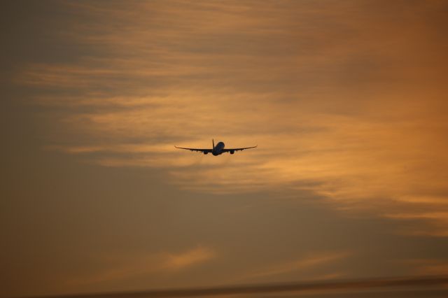 Airbus A330-200 (D-AIYA)