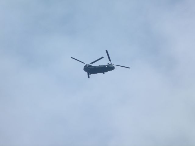 ASAP Chinook — - Taken from my garden 