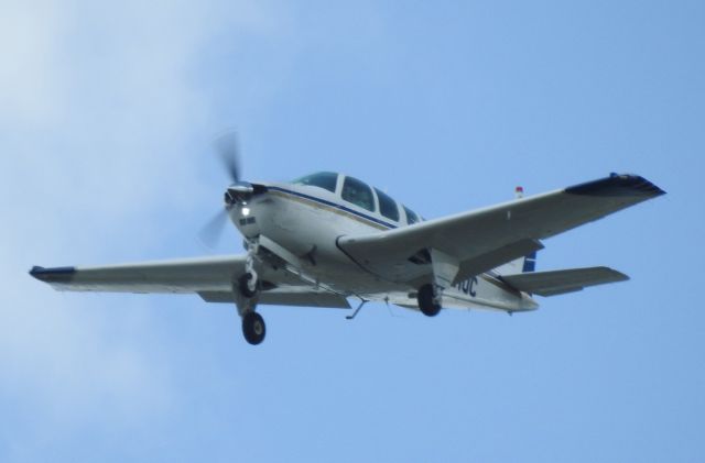 Beechcraft Bonanza (36) (N6310C)