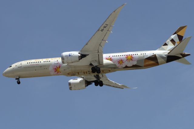 Boeing 787-9 Dreamliner (A6-BLS) - 21/04/2021:   Flight from Abu-Dhabi on final to runway 30.