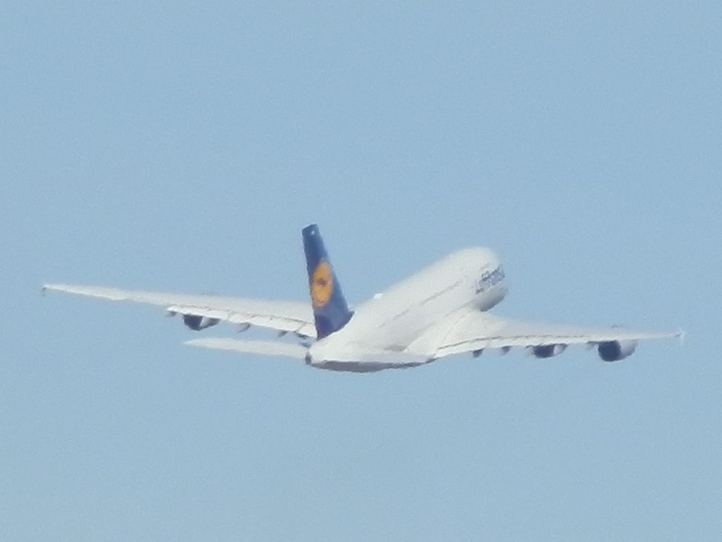 Airbus A380-800 (D-AIMM)