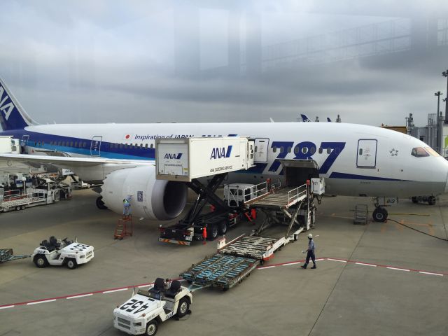 Boeing 787-8 (JA813A) - 成田にて