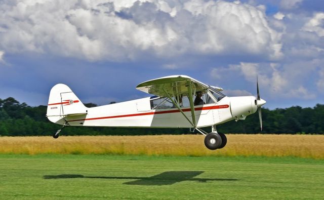 Piper L-21 Super Cub (N1011A) - Massey Aerodrome MD1