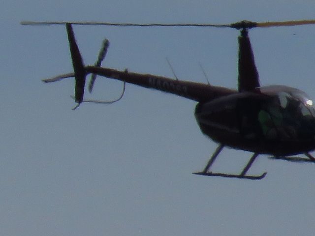 Robinson R-44 (N40363)