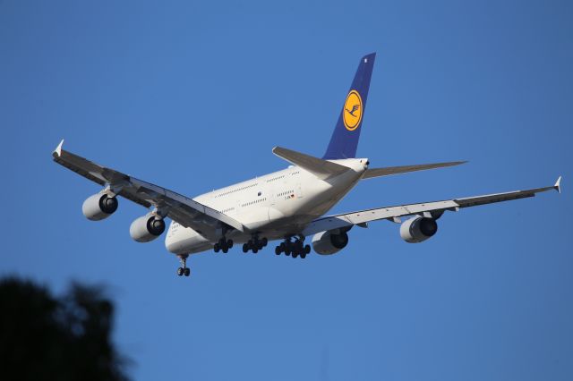Airbus A380-800 (D-AIMI)