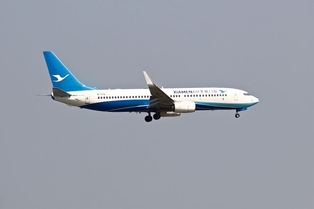 Boeing 737-800 (B-7176)