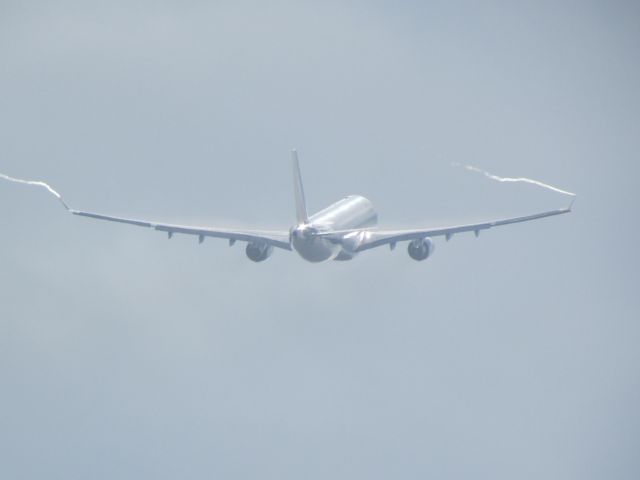 Airbus A330-300 (EI-EJM) - Wake vortex