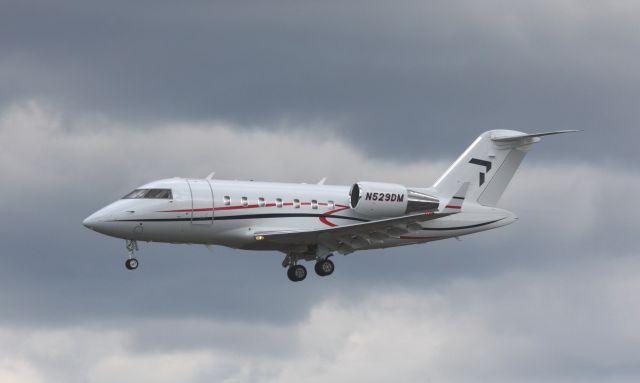 Canadair Challenger (N529DM)