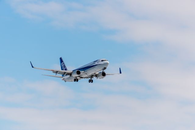 Boeing 737-800 (JA72AN)