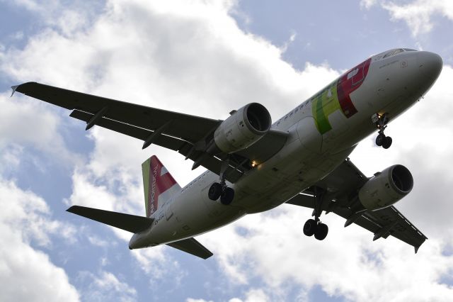 Airbus A319 (CS-TTO)