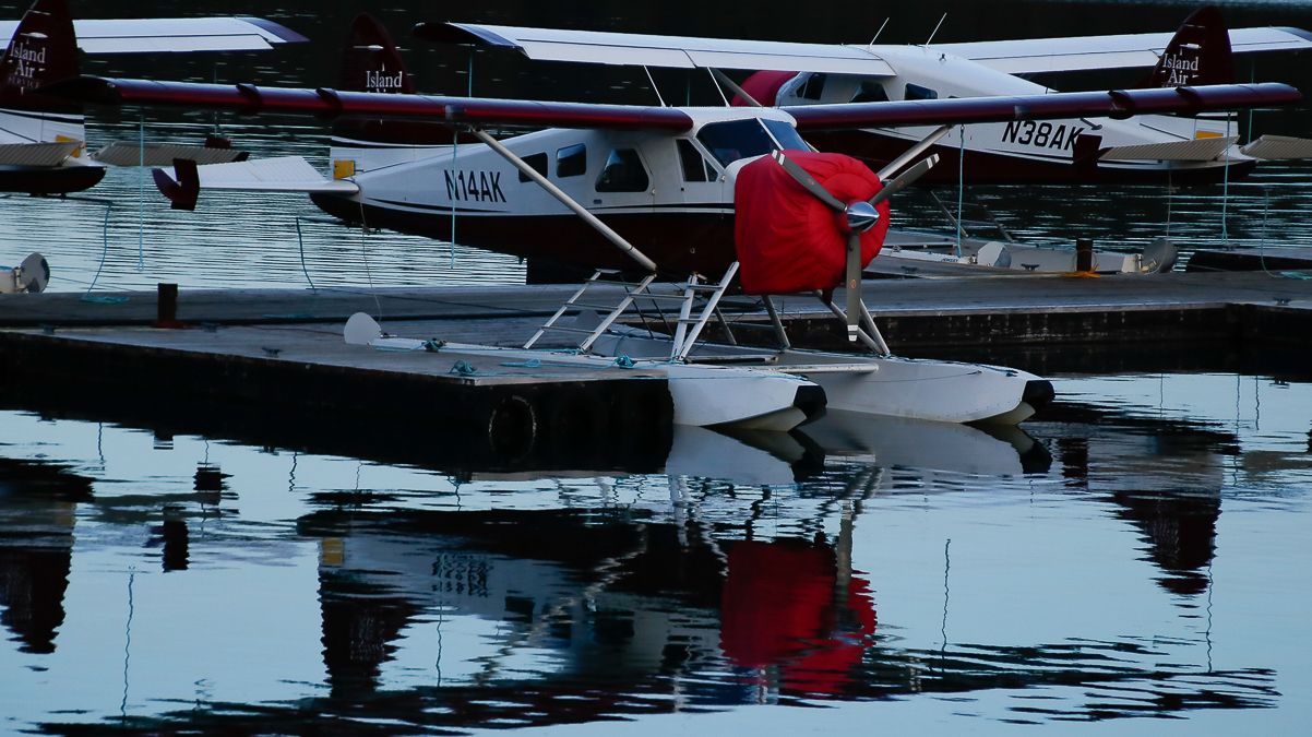 De Havilland Canada DHC-2 Mk1 Beaver (N14AK) - Resting at gate C4br /Reg: N14AKbr /MSN: 1460br /Type: De Havilland Canada DHC-2 Beaver--DHC2--CN1br /Photo date: 11-11-24br /Upload date: 11-13-24