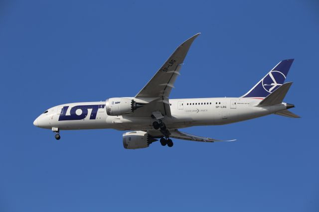 Boeing 787-8 (SP-LRG)