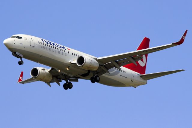 Boeing 737-800 (TC-JGR)