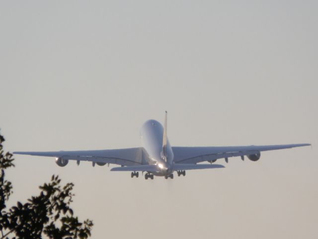 Airbus A380-800 (D-AIMJ)