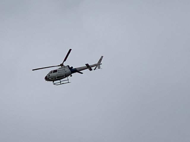 Eurocopter AS-350 AStar (N5204J)