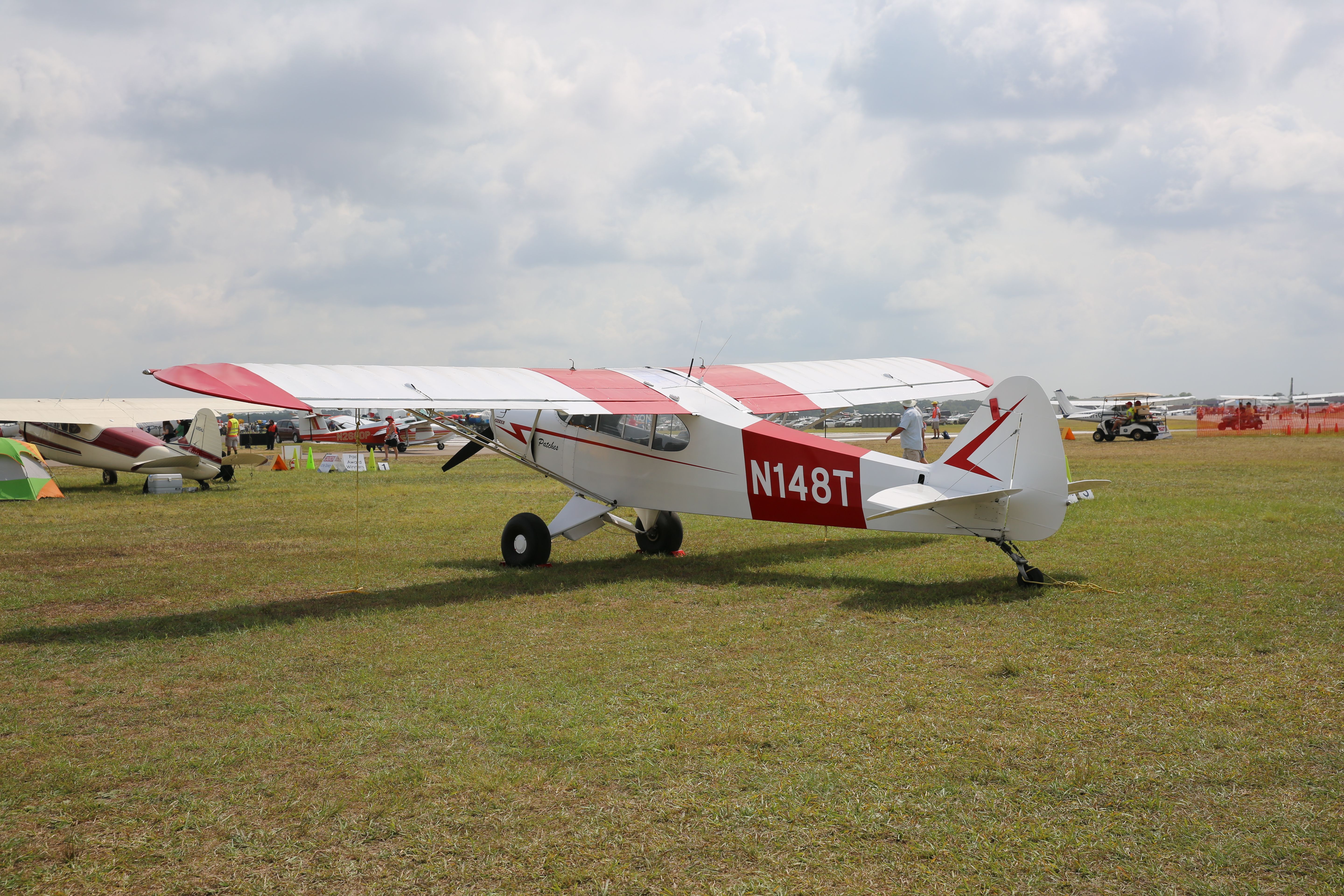 Piper L-21 Super Cub (N148T)