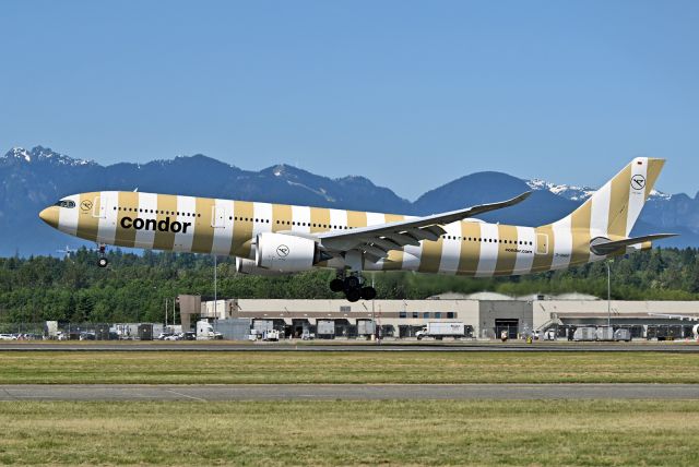 Airbus A330-900 (D-ANRP)