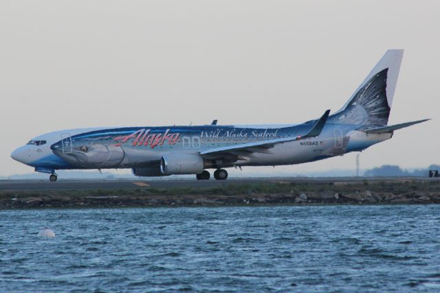 Boeing 737-800 (N559AS)