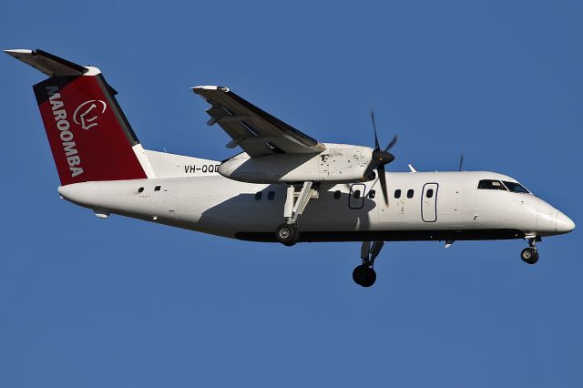 de Havilland Dash 8-100 (VH-QQD) - on 23 November 2017