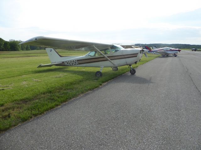 Cessna Skyhawk (N29501)