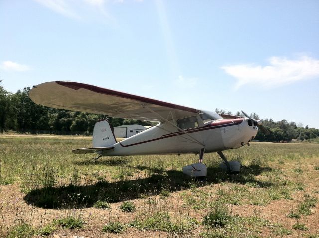 Cessna 120 (N1858N)