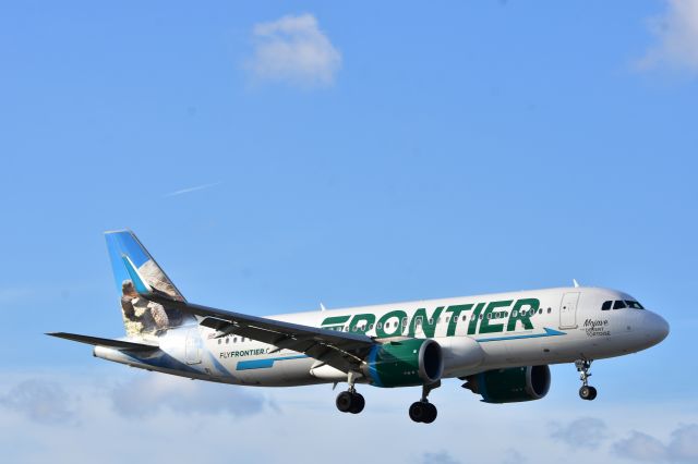 Airbus A320 (N384FR)