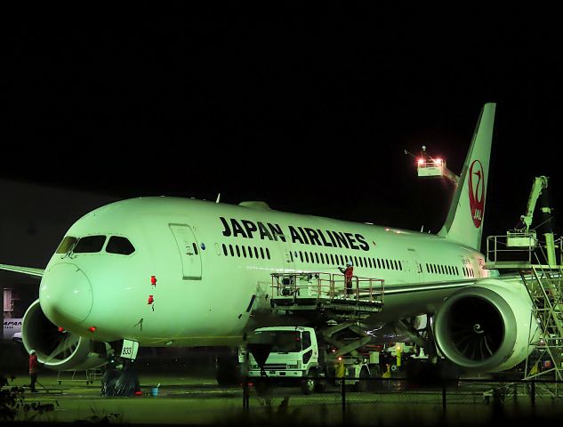 Boeing 787-8 (JA833J) - I took this picture on Nov 17, 2020.