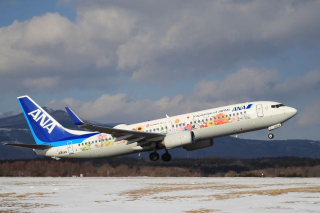 Boeing 737-800 (JA85AN) - January 14th 2019:HKD-ITM.