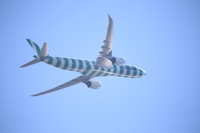 Airbus A330-900 (D-ANRI)