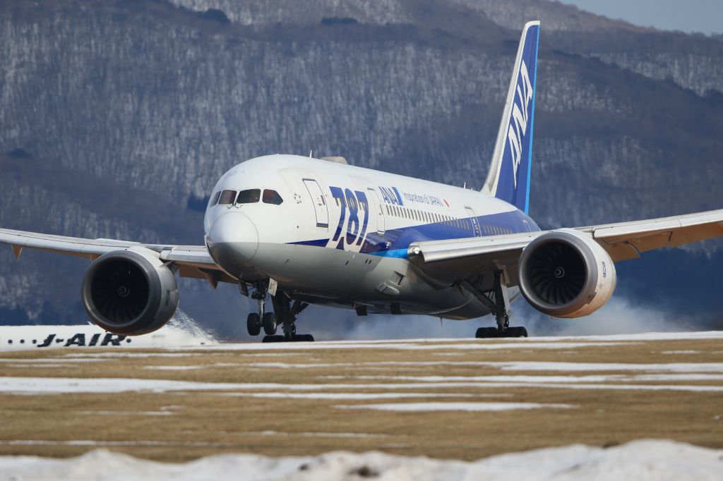 Boeing 787-8 (JA817A) - February 23rd 2019:HND-HKD.