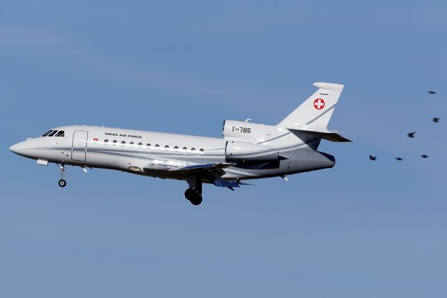 Dassault Falcon 900 (T785)