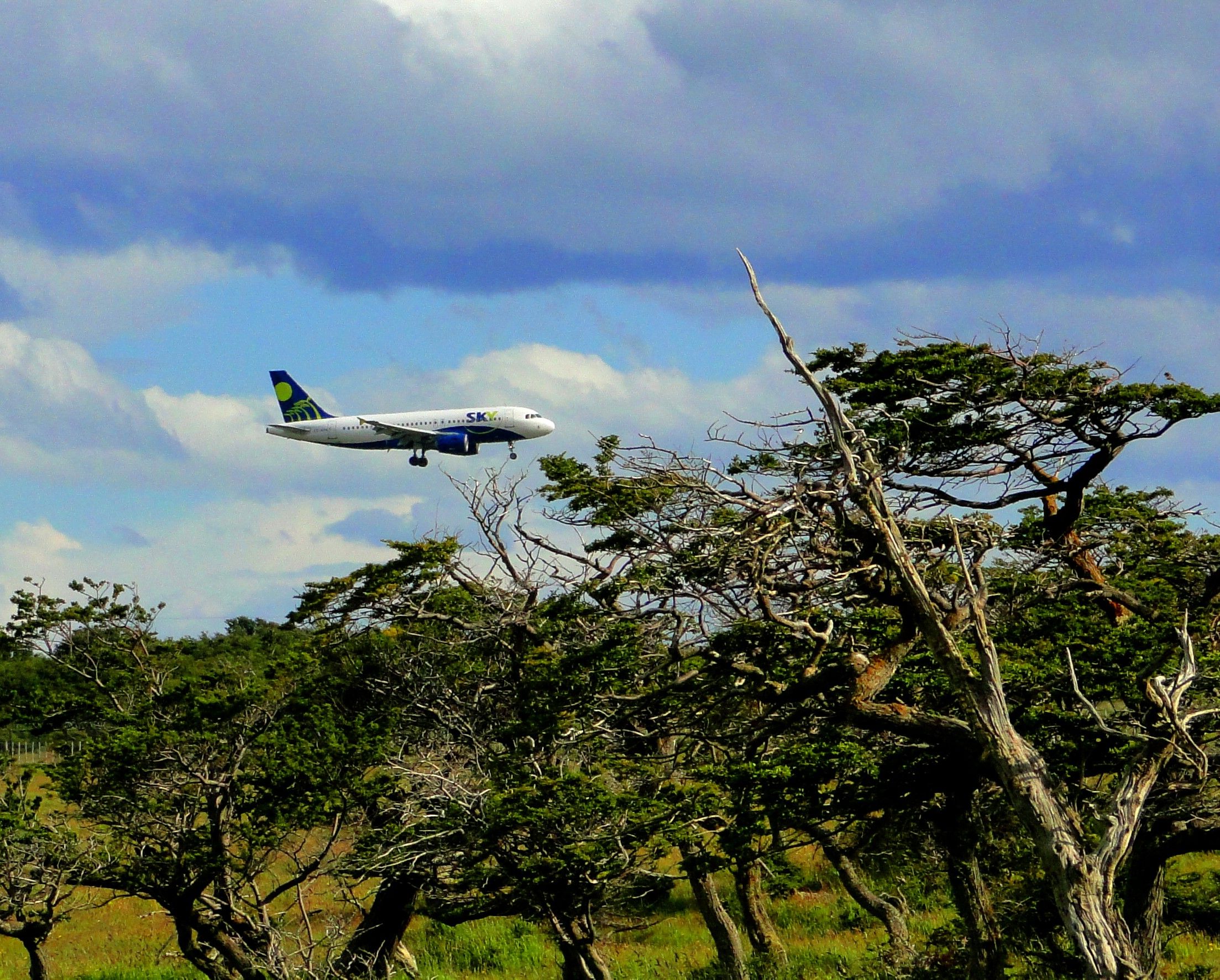 Airbus A319 — - AIRBUS A319 OF SKYLINES LANDING IN PUNTA ARENAS, CHILE