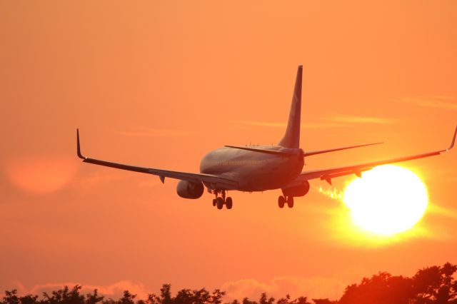 Boeing 737-800 (JA61AN) - 11 July 2015:HND-HKD