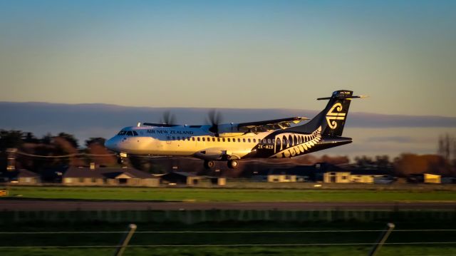 ZK-MZB — - ZK-MZB coming into land at Palmerston North airport in some Crispy Golden light