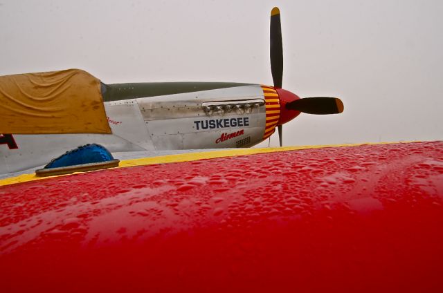 North American P-51 Mustang (AMU61429)