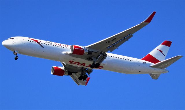 Airbus A330-300 (OE-LAY)