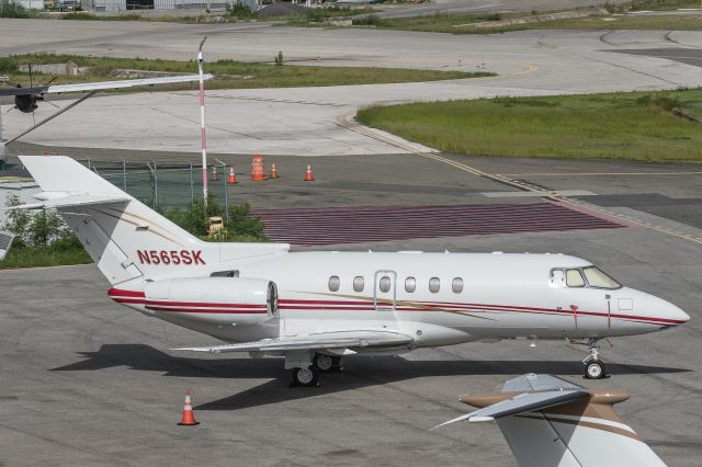 Hawker 800 (N565SK)