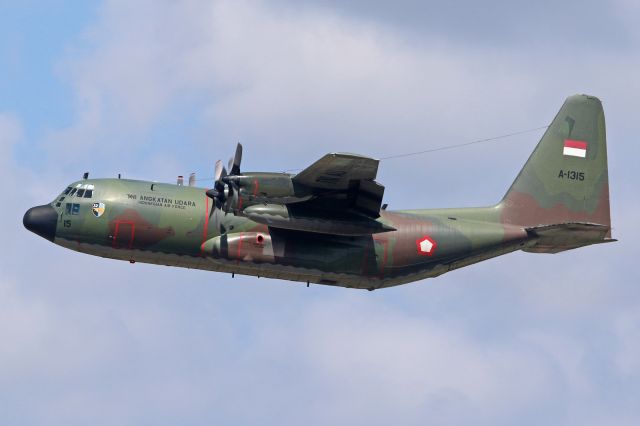 Lockheed C-130 Hercules (A1315) - SkU32