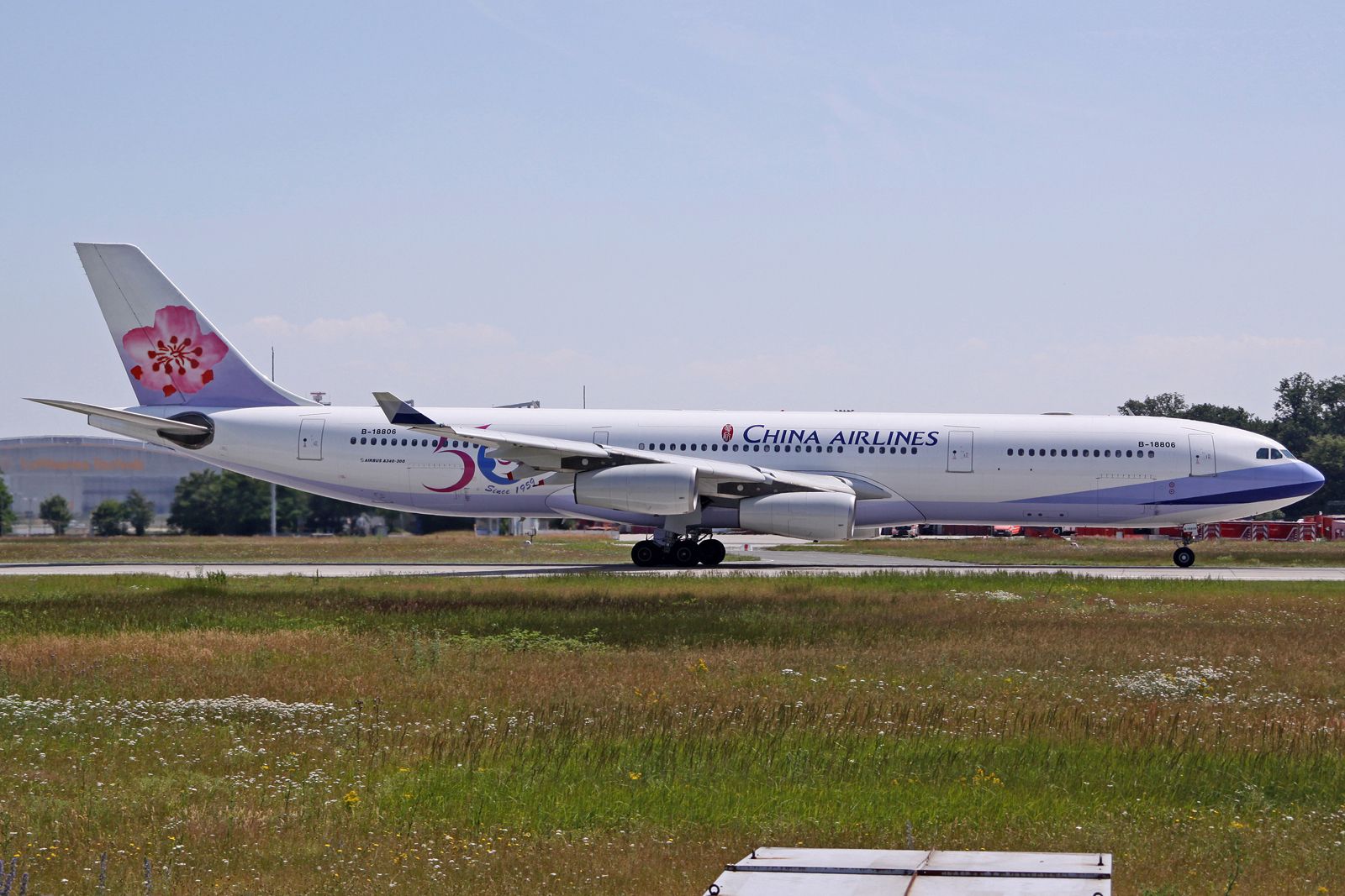 Airbus A340-300 (B-18806) - Sticker "50Since 1959"