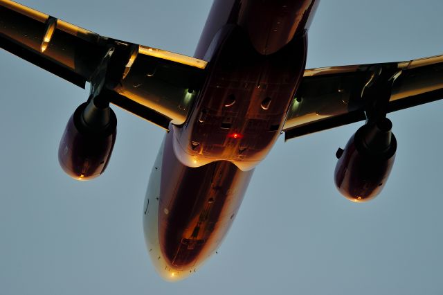 Airbus A320 (JA816P)