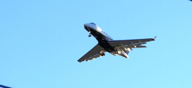 Bombardier Challenger 300 (N523FX)