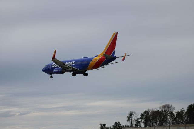 Boeing 737-700 (N445WN)